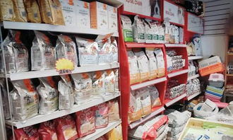 一站式寵物生活服務 美容、洗浴、配種與用品零售