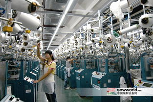 上半年紡織業運行平穩，鞋帽零售展現韌性